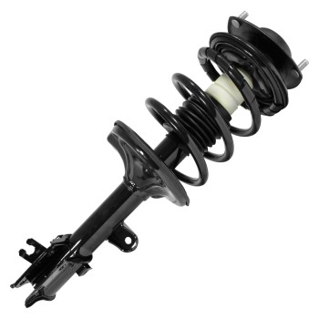 Suspension Strut and Coil Spring Assembly