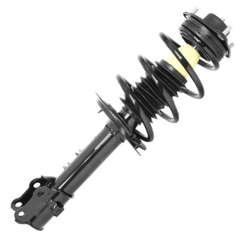 Suspension Strut and Coil Spring Assembly