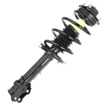 Suspension Strut and Coil Spring Assembly
