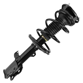 Suspension Strut and Coil Spring Assembly