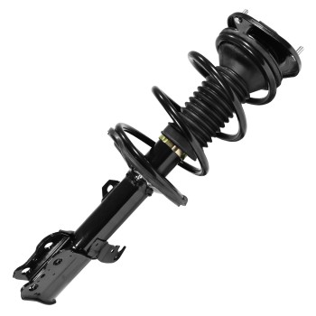 Suspension Strut and Coil Spring Assembly