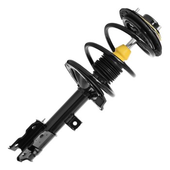 Suspension Strut and Coil Spring Assembly