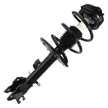 Suspension Strut and Coil Spring Assembly
