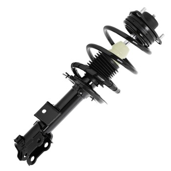 Suspension Strut and Coil Spring Assembly