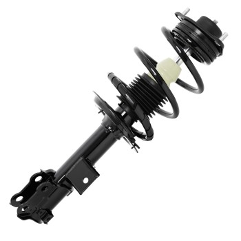 Suspension Strut and Coil Spring Assembly