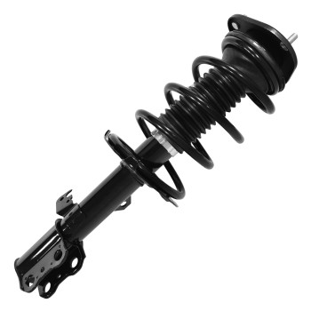 Suspension Strut and Coil Spring Assembly