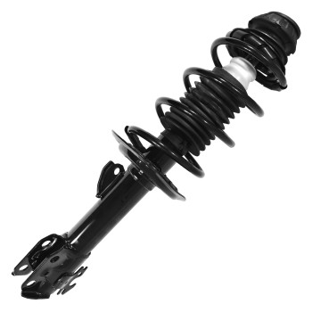 Suspension Strut and Coil Spring Assembly