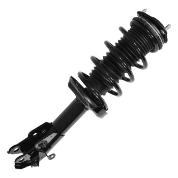 Suspension Strut and Coil Spring Assembly