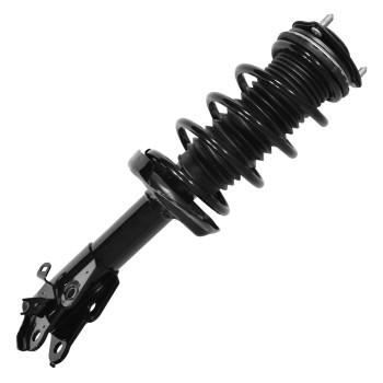 Suspension Strut and Coil Spring Assembly