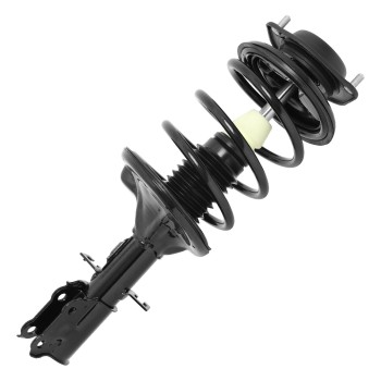 Suspension Strut and Coil Spring Assembly