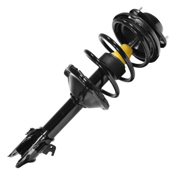 Suspension Strut and Coil Spring Assembly