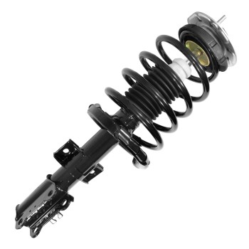 Suspension Strut and Coil Spring Assembly