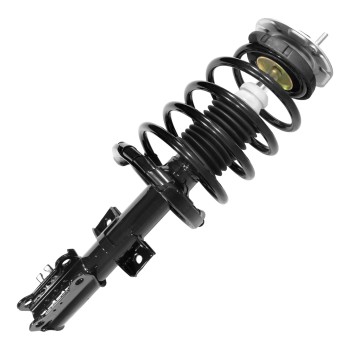 Suspension Strut and Coil Spring Assembly