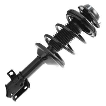 Suspension Strut and Coil Spring Assembly