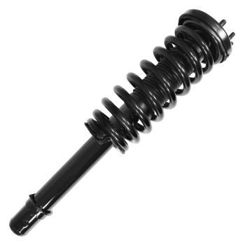Suspension Strut and Coil Spring Assembly