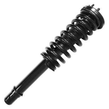 Suspension Strut and Coil Spring Assembly