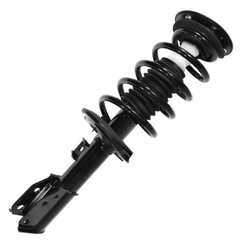 Suspension Strut and Coil Spring Assembly