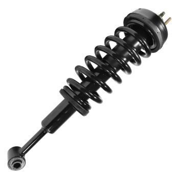 Suspension Strut and Coil Spring Assembly
