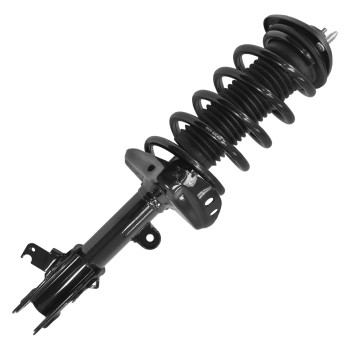 Suspension Strut and Coil Spring Assembly