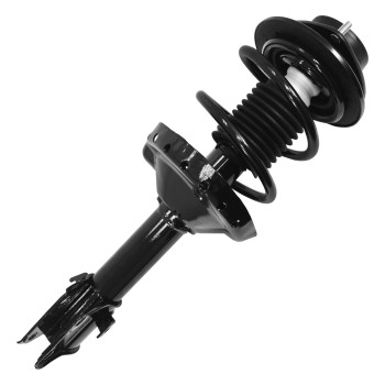 Suspension Strut and Coil Spring Assembly