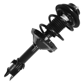 Suspension Strut and Coil Spring Assembly