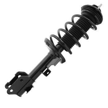 Suspension Strut and Coil Spring Assembly