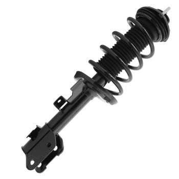 Suspension Strut and Coil Spring Assembly