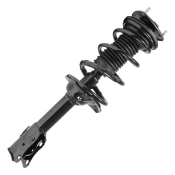 Suspension Strut and Coil Spring Assembly