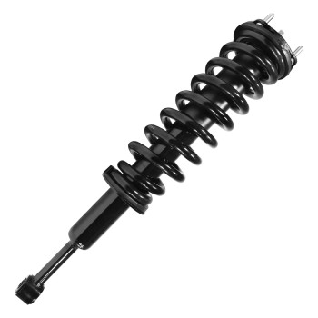 Suspension Strut and Coil Spring Assembly
