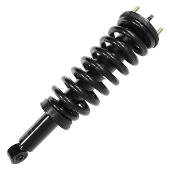 Suspension Strut and Coil Spring Assembly