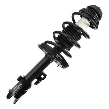 Suspension Strut and Coil Spring Assembly