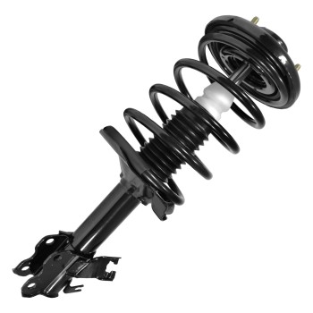 Suspension Strut and Coil Spring Assembly