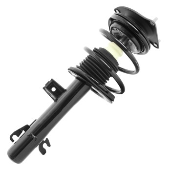 Suspension Strut and Coil Spring Assembly