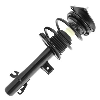 Suspension Strut and Coil Spring Assembly