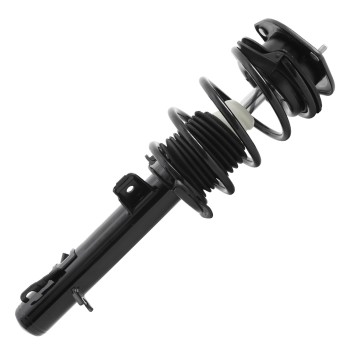 Suspension Strut and Coil Spring Assembly