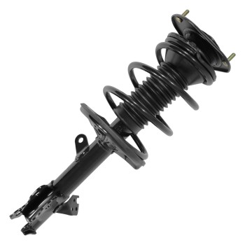 Suspension Strut and Coil Spring Assembly