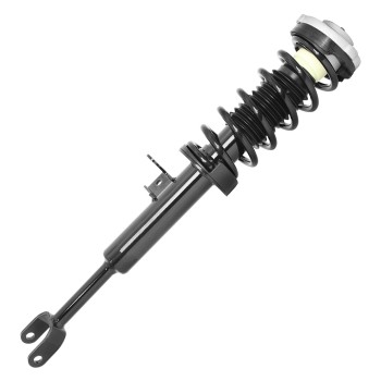 Suspension Strut and Coil Spring Assembly
