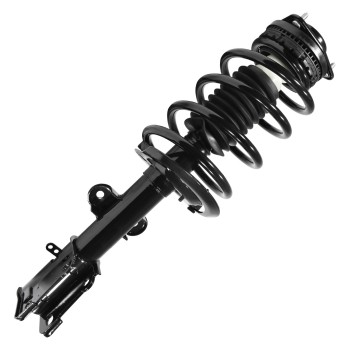 Suspension Strut and Coil Spring Assembly