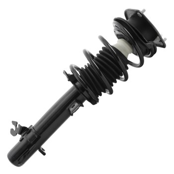 Suspension Strut and Coil Spring Assembly