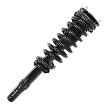 Suspension Strut and Coil Spring Assembly