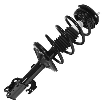Suspension Strut and Coil Spring Assembly