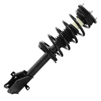 Suspension Strut and Coil Spring Assembly