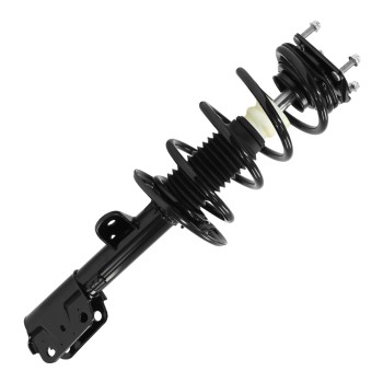 Suspension Strut and Coil Spring Assembly