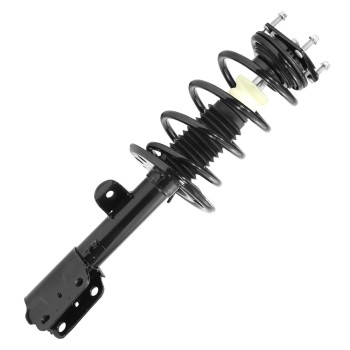 Suspension Strut and Coil Spring Assembly