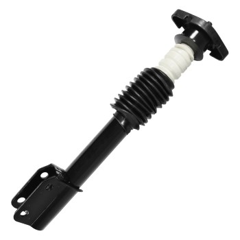Suspension Strut and Coil Spring Assembly