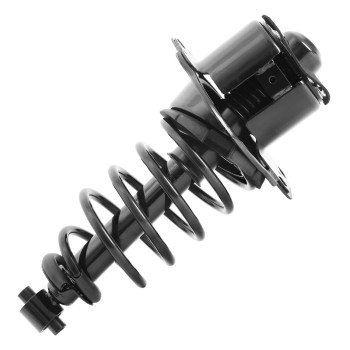 Suspension Strut and Coil Spring Assembly