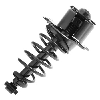 Suspension Strut and Coil Spring Assembly