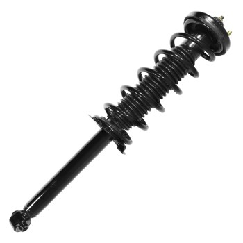 Suspension Strut and Coil Spring Assembly