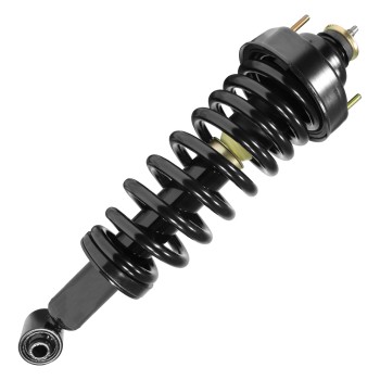 Suspension Strut and Coil Spring Assembly