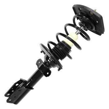 Suspension Strut and Coil Spring Assembly